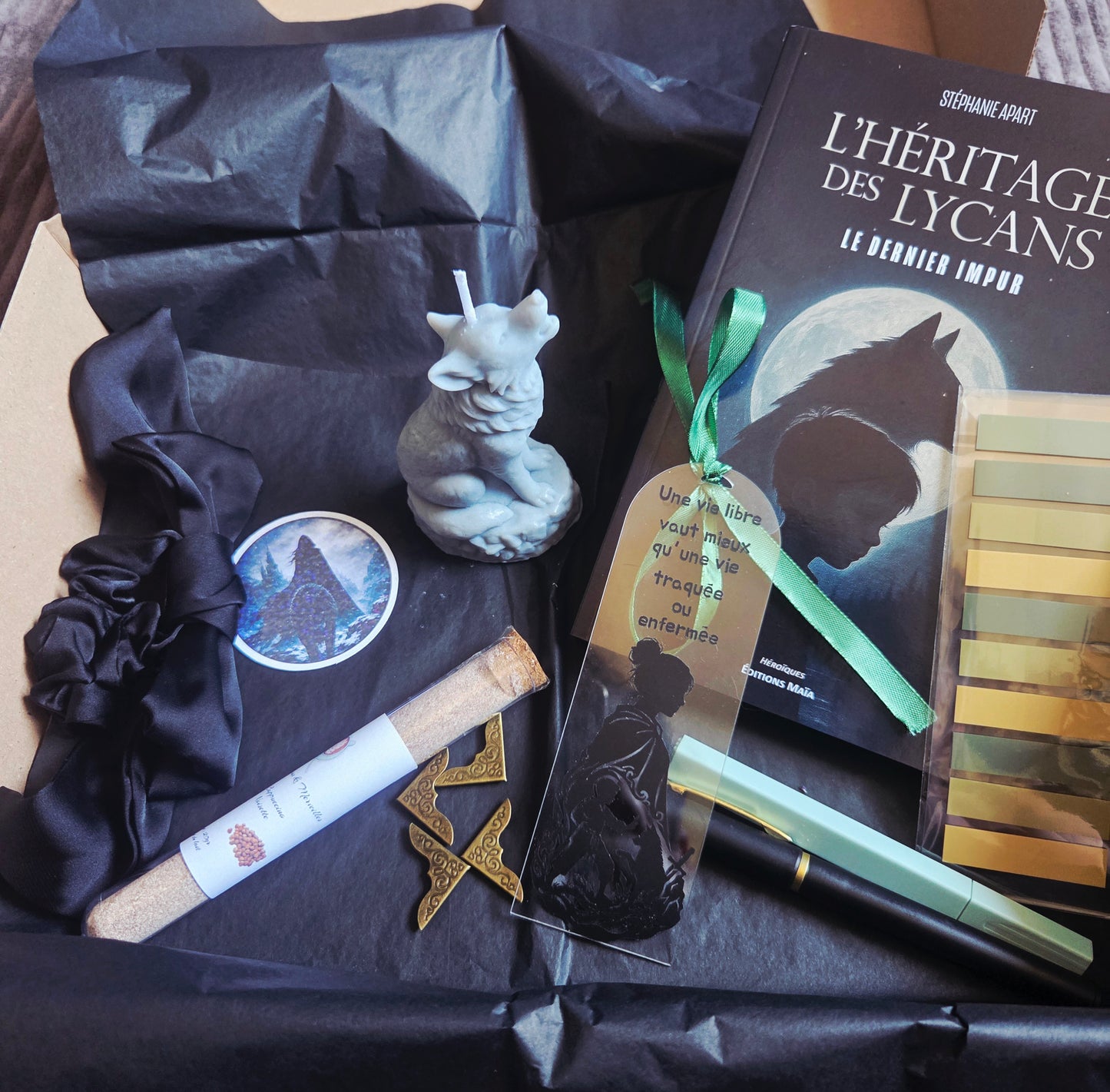 Box l'héritage des lycans