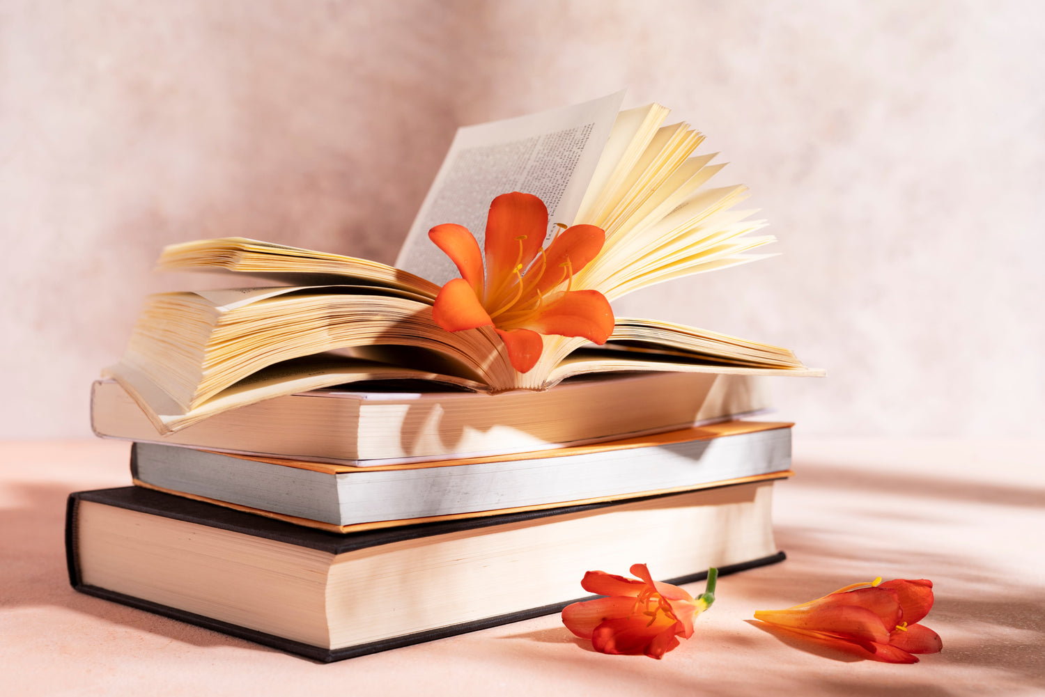 Romance - Box livresque